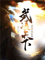 武凌天下TXT