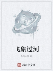 飞象过河