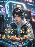 我真是天才小说