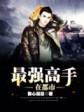 最强高手在都市林易主角境界划分