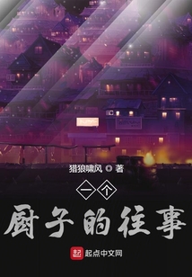 一个厨子的往事 小说