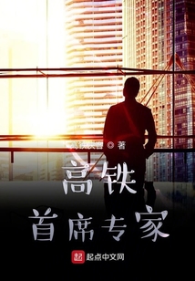 高铁首席专家是好书吗?