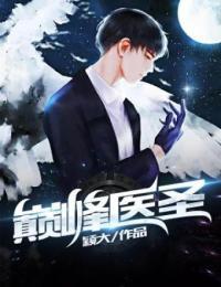 巅峰医圣 小说