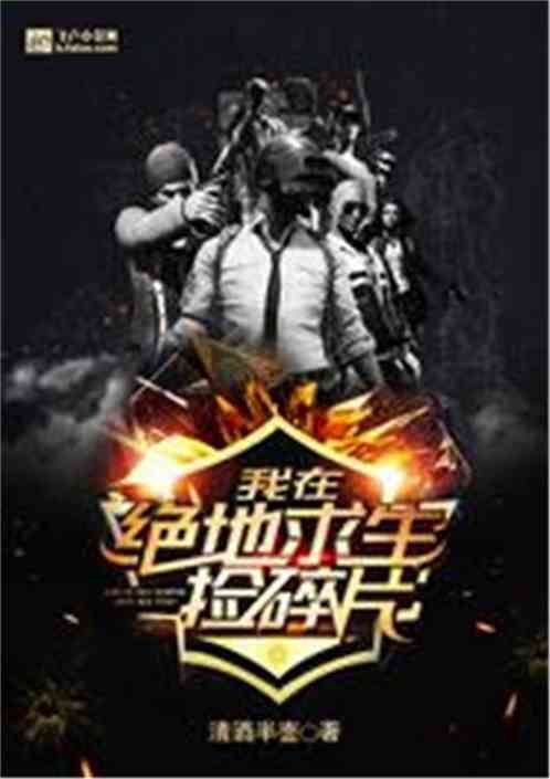我在绝地求生捡碎片未删减版全文免费阅读