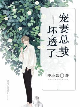 宠妻总裁坏透了大结局免费阅读