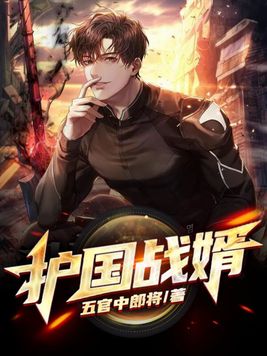 护国战婿下载