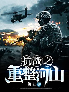 抗战之重整河山TXT下载奇书