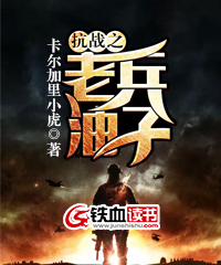 抗战之老兵油子TXT下载
