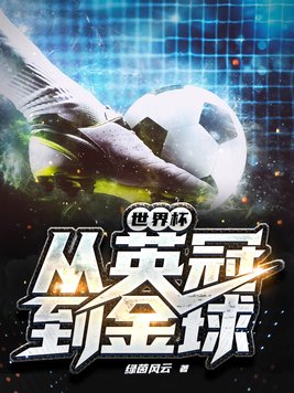 世界杯从英冠到金球免费