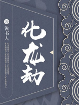 化龙劫小说