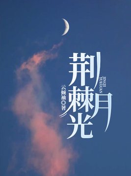 荆棘月光讲的什么