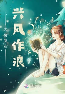 大佬又在兴风作浪小说
