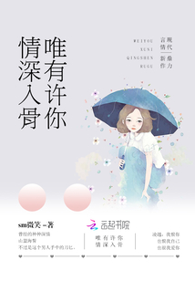 许你入骨情深沈向晚免费阅读