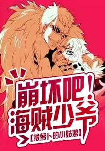海贼崩坏小说