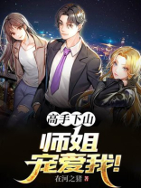 高手下山:师姐宠爱我!