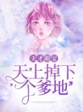 天才萌宝：天上掉下个爹地