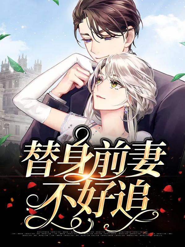 总裁前妻不好追 小说
