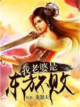 笑傲江湖东方不败的老婆