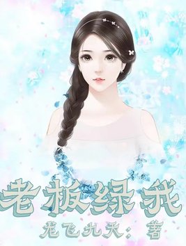 老板是我老公