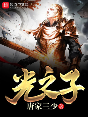 光之子小说免费阅读