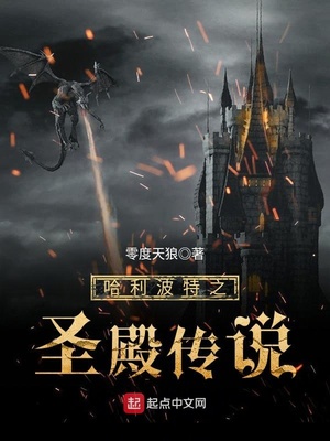哈利波特之圣殿传说起点