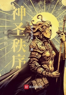 至高的神圣秩序 小说
