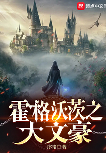 霍格沃茨之 小说