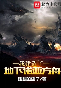 我建造地下诺亚方舟评论