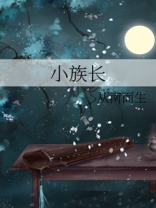 小族长TXT免费下载
