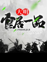 大明:官居一品
