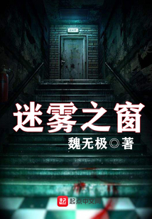 迷雾之窗