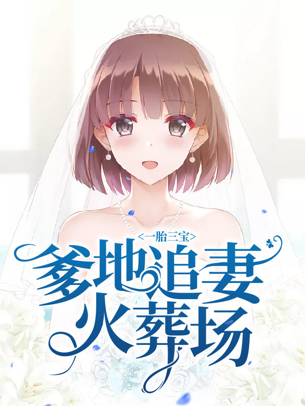 一胎三宝爹地追妻超给力