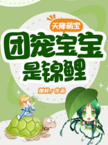 天降萌宝:团宠宝宝是锦鲤_