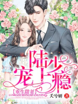 重生陆少宠妻上瘾免费阅读无弹窗