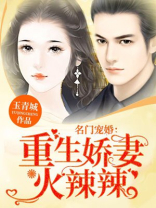 重生之名门宠婚