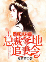 龙凤双宝总裁爹地追妻令免费
