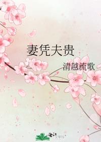 妻凭夫贵柳氏结局