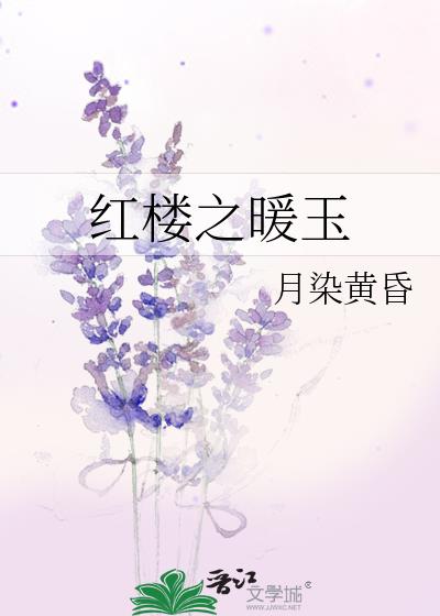 红楼之暖玉