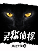 灵猫侦探 风起天阑