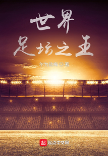 世界足坛之王免费阅读
