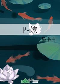 四嫁小说免费阅读