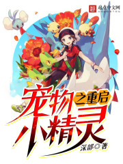 宠物小精灵之重返巅峰