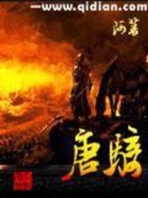 唐骑类似的小说