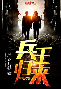 兵王归来