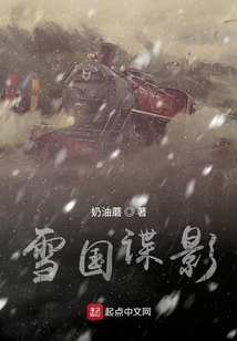 雪国谍影攻略
