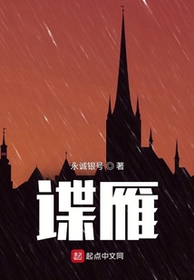 谍雁txt