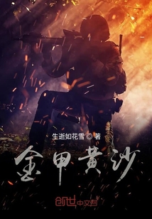 黄沙穿金甲的古诗