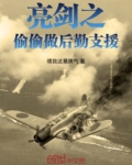 亮剑之后勤部长小说