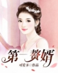 第一赘婿