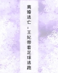 离婚逃亡：王妃带着足球逃跑